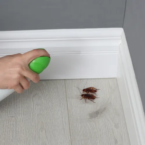 HERO — ANTI ROACH SERVICE treatment in progress